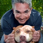 Cesar Millan, the Dog Whisperer.